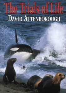 The Trials of Life : A Natural History of Animal Behaviour