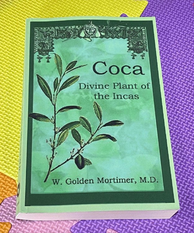 Image for Coca: Divine Plant of the Incas Coca: Divine Plant of the Incas