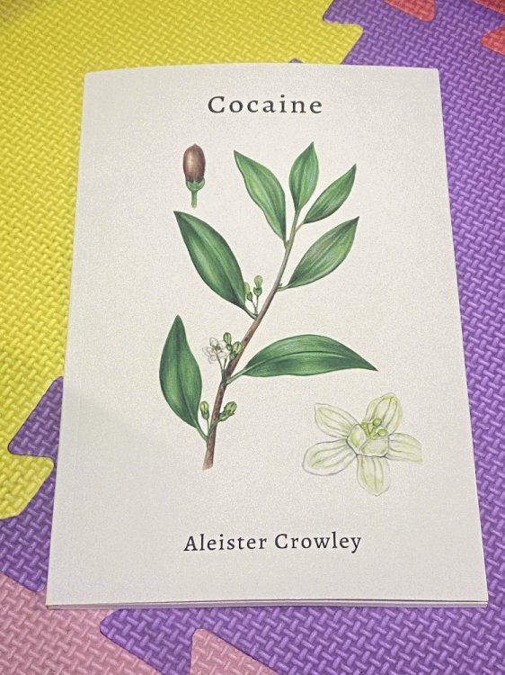 Image for Cocaine Cocaine