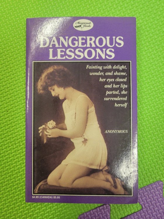 Image for Dangerous Lessons Dangerous Lessons
