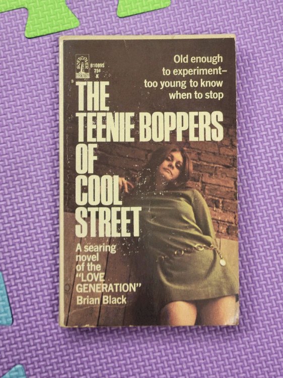 The Teenie Boppers of Cool Street