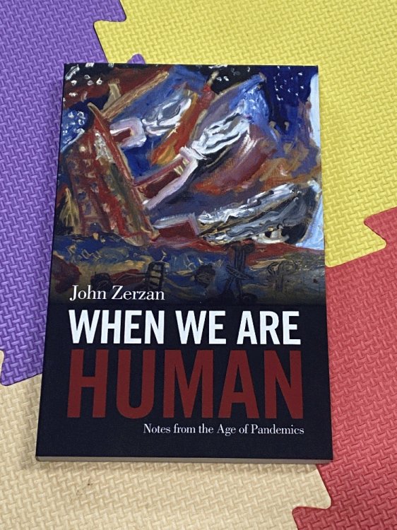Image for When We Are Human: Notes from the Age of Pandemics When We Are Human: Notes from the Age of Pandemics