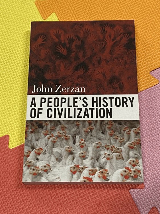Image for A People's History of Civilization A People's History of Civilization