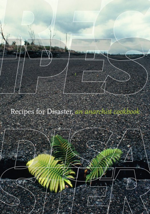 Image for Recipes for Disaster: An Anarchist Cookbook Recipes for Disaster: An Anarchist Cookbook