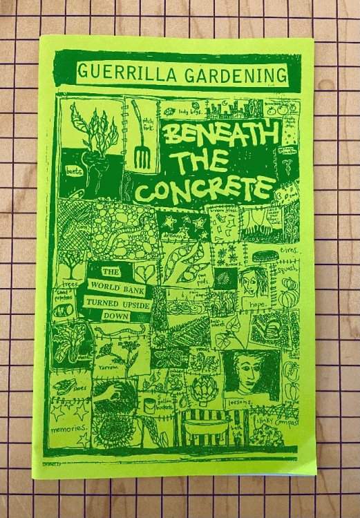 Guerrilla Gardening: Beneath the Concrete