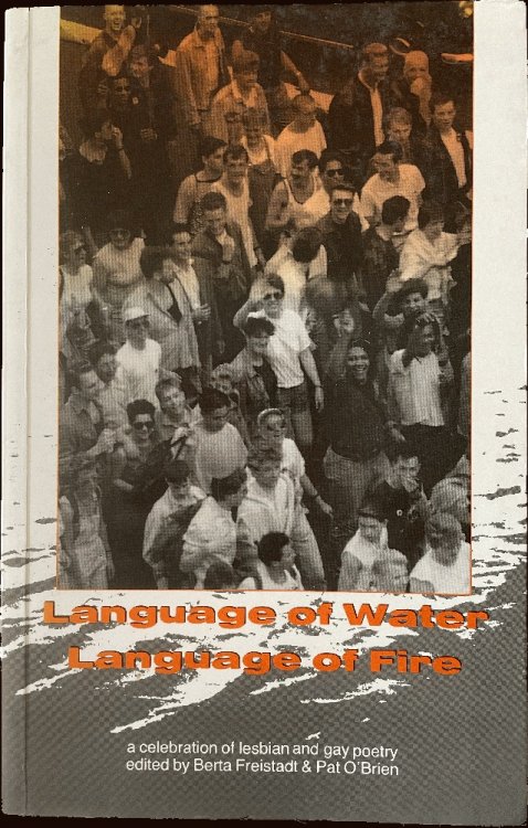 Image for Language of Water, Language of Fire: A Celebration of Lesbian and Gay Poetry Language of Water, Language of Fire: A Celebration of Lesbian and Gay Poetry