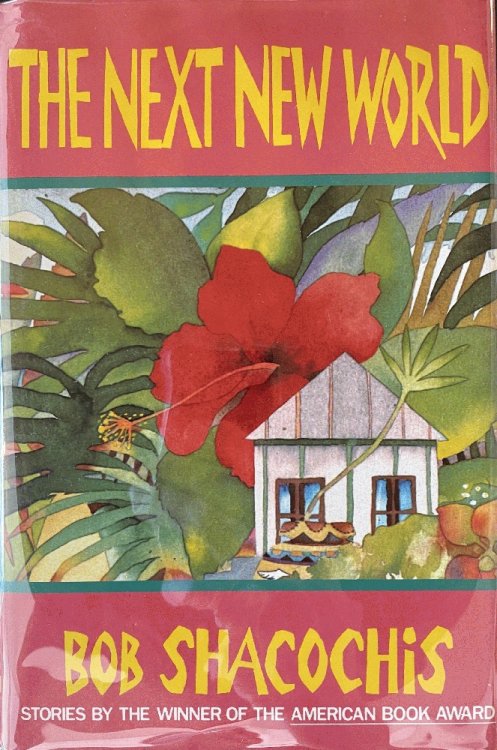 Image for Next New World Next New World