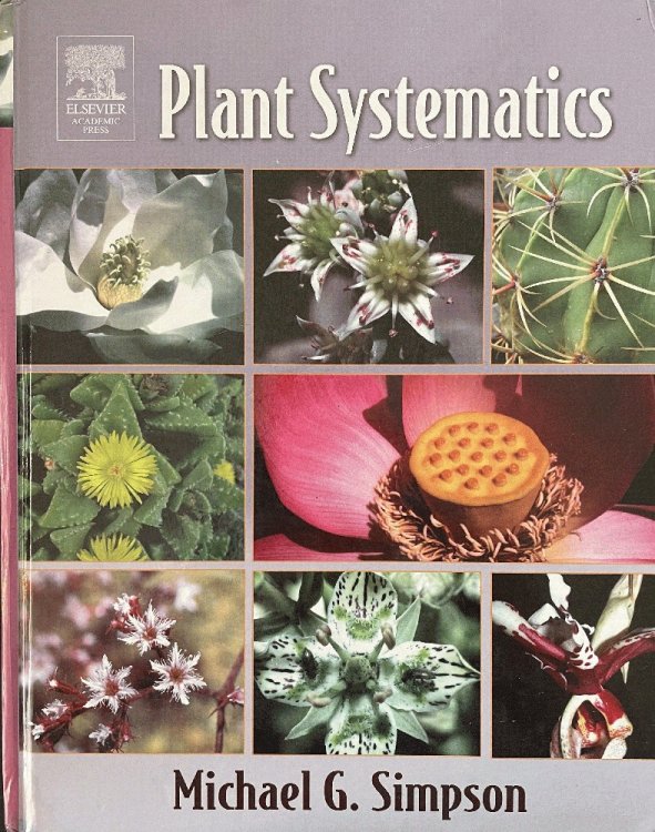 Image for Plant Systematics Plant Systematics