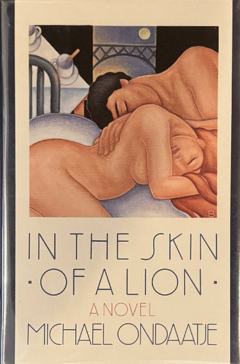 Image for In the Skin of a Lion In the Skin of a Lion