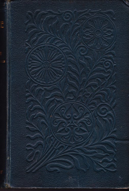 The Medicine Lady