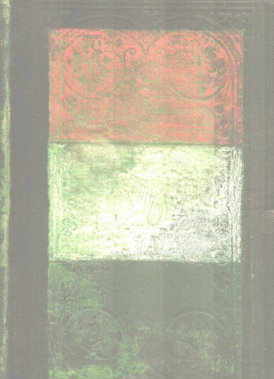 A Memoir on Ireland. Native and Saxon