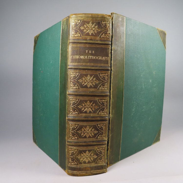 The Chromolithograph; A journal of art, decoration, and the accomplishments with which is incorporated (Vol. 1: Nov. 23, 1867 - Nov. 28, 1868)