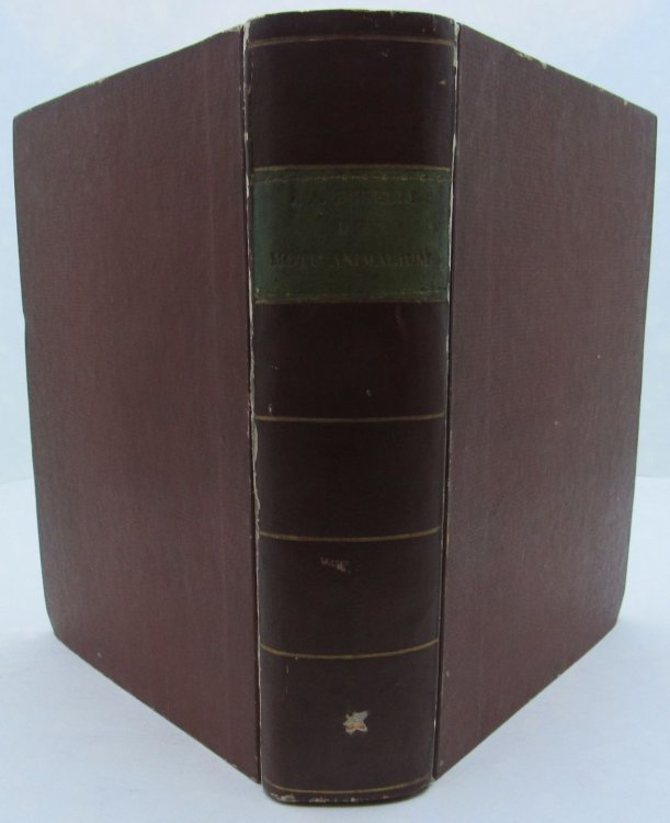 Joh. Alphonsi Borelli Neapolitani matheseos professoris, De motu animalium, pars prima. Editio nova, a plurimis mendis repurgata, ac dissertationibus physico-mechanicis de motu musculorum, et de effervescentia, et fermentatione, clarissimi viri Joh. Bernoullii matheseos professoris Basileensis, auct