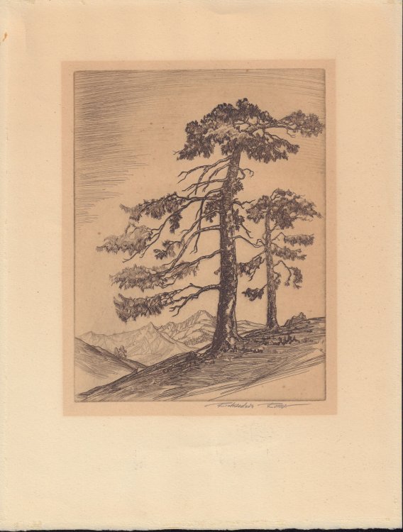 Image for Brothers Brothers