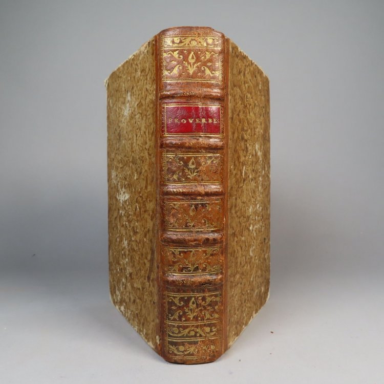 Image for Matinees senonoises, ou Proverbes francois, suivis de leur origine; de leur rapport avec ceux des langues anciennes et modernes; de l'emploi qu'on en a fait en poesie & en prose; de quelques traits d'histoire, mots saillans, & usages anciens dont on recherche auffi l'origine (Matinees senonoises, ou Matinees senonoises, ou Proverbes francois, suivis de leur origine; de leur rapport avec ceux des langues anciennes et modernes; de l'emploi qu'on en a fait en poesie & en prose; de quelques traits d'histoire, mots saillans, & usages anciens dont on recherche auffi l'origine (Matinees senonoises, ou