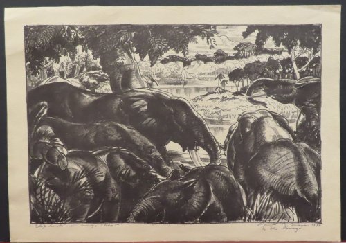 Image for Elephants in Congo Forest Elephants in Congo Forest
