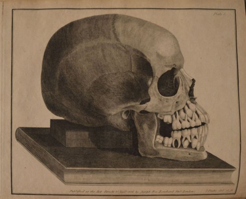 The Natural History and Diseases of the Human Teeth. Second enlarged edition with 23 copper engraved plates.