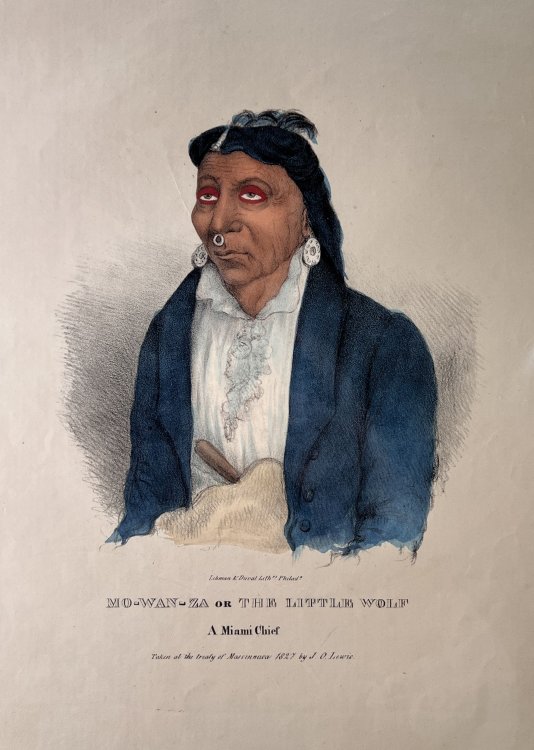 Mo-Wan-Za or the Little Wolf. A Miami Chief.