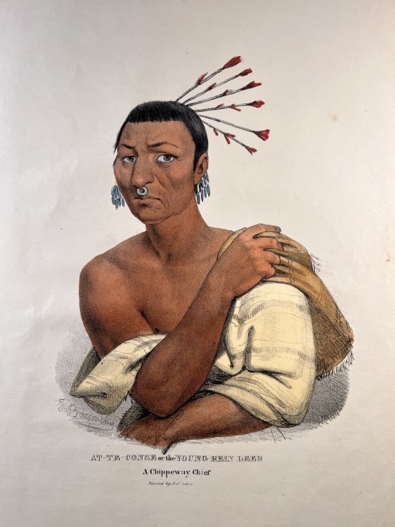 At-Te-Conse or the Young Reindeer. A Chippeway Chief.