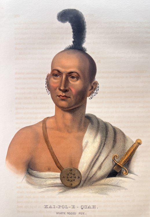Kai-Pol-E-Quah, White Nosed Fox.