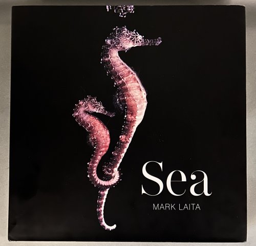 Image for Sea Sea