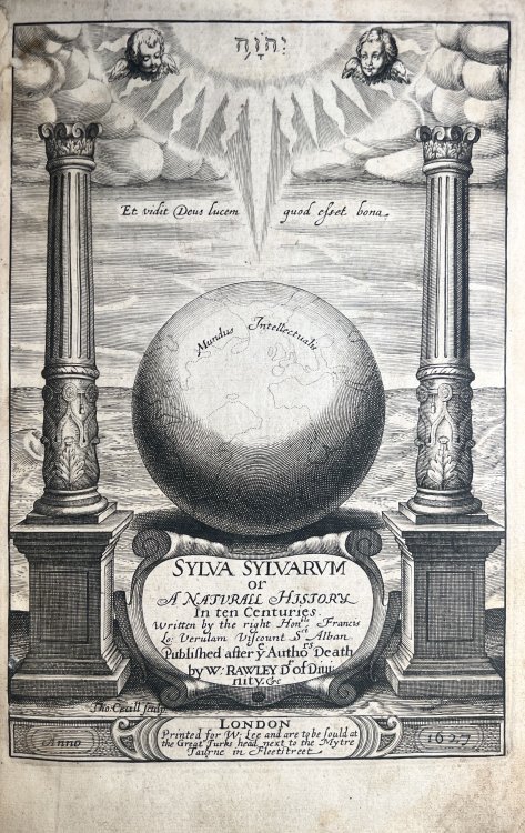 Sylva Sylvarum, or A Natural History in Ten Centuries; [Together with] New Atlantis- A Work Unfinished.