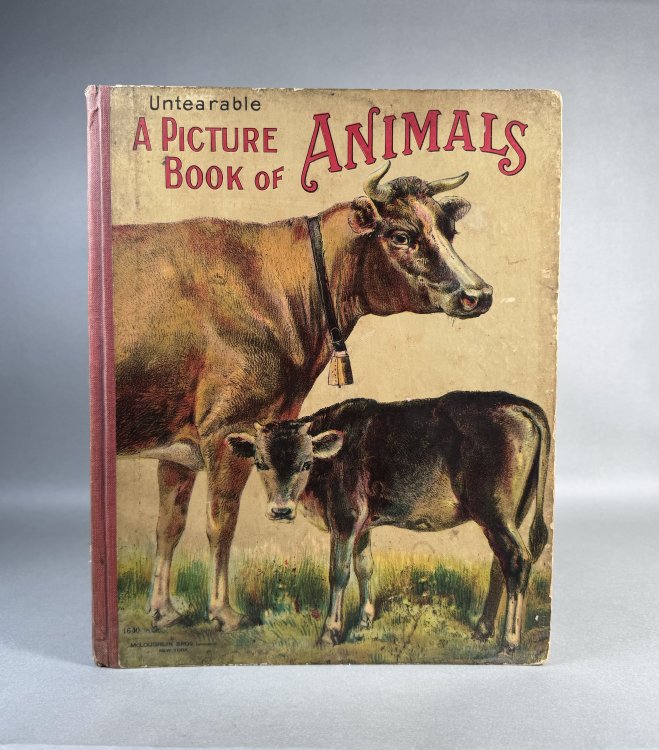 A Picture Book of Animals