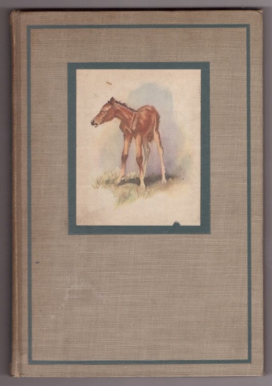 The Red Pony