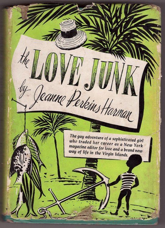 Image for The Love Junk The Love Junk