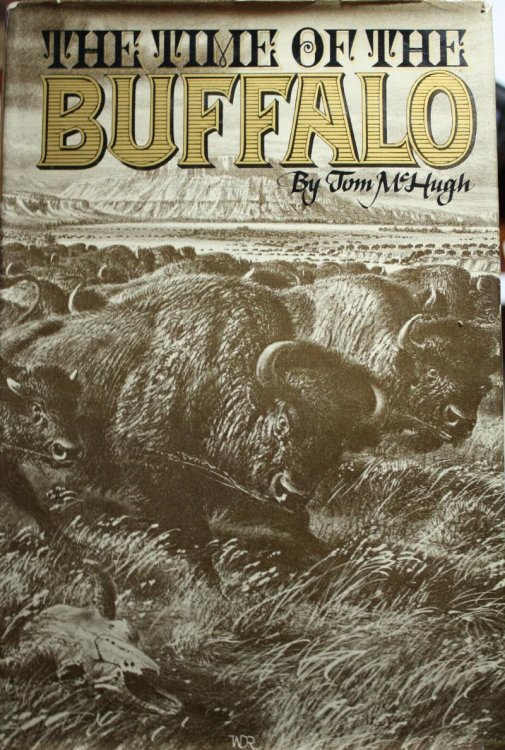 The Time of The Buffalo