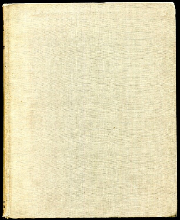 Image for The Pre-Synoptic Gospel The Pre-Synoptic Gospel