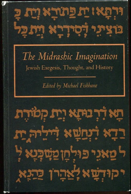 Image for The Midrashic Imagination. Jewish Exegesis, Thought, and History The Midrashic Imagination. Jewish Exegesis, Thought, and History