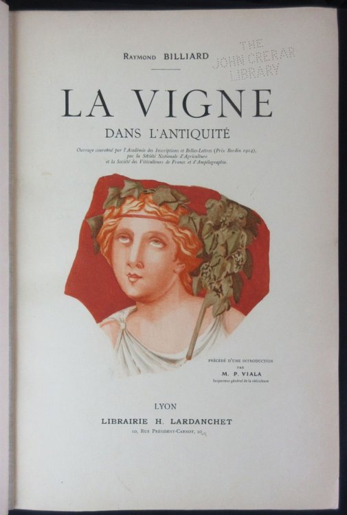 Image for La Vigne Dans L'Antiquite La Vigne Dans L'Antiquite