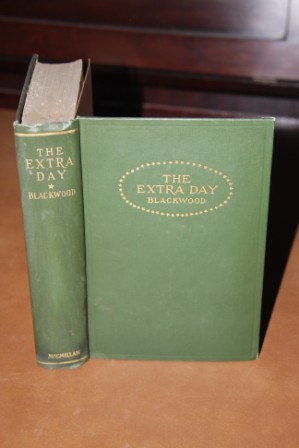 Image for The Extra Day The Extra Day