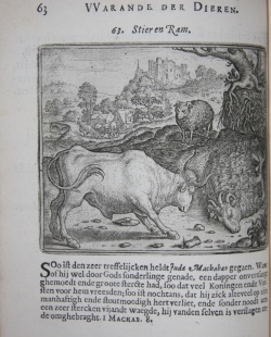 Image for Vorsteliicke Warande der Dieren. De Helden Godes des Ouwden Verbonds. De Heerlyckheyd van Salomon. Hierusalem Verwoest. De Vernieuwde Gulden Winckel der Kunstlievende Nederlands. (Five works bound in one) Vorsteliicke Warande der Dieren. De Helden Godes des Ouwden Verbonds. De Heerlyckheyd van Salomon. Hierusalem Verwoest. De Vernieuwde Gulden Winckel der Kunstlievende Nederlands. (Five works bound in one)