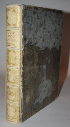 Image for Amorum Libri Tres Amorum Libri Tres