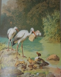 Image for Aus der Kinderwelt Aus der Kinderwelt