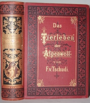 Image for Das Tierleben der Alpenwelt Das Tierleben der Alpenwelt
