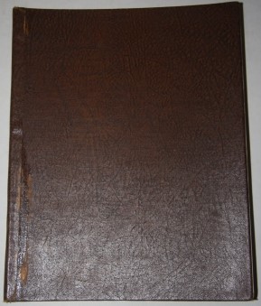 Album with 28 Paintings