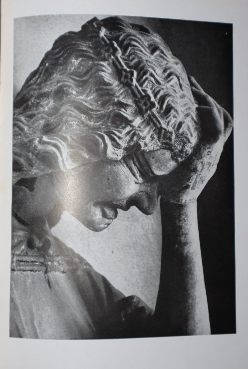 Image for Schmerz Schmerz