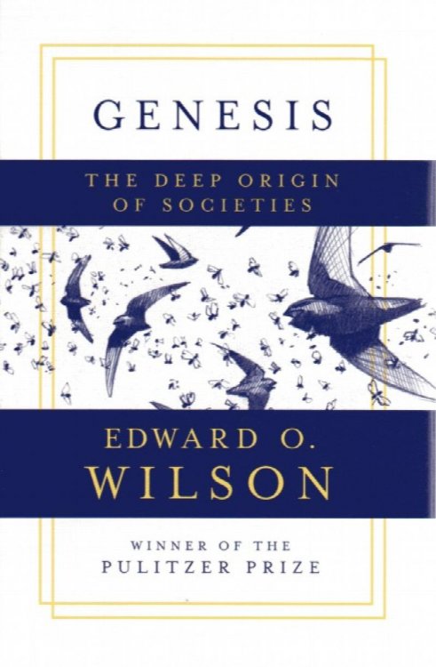 Image for Genesis Genesis