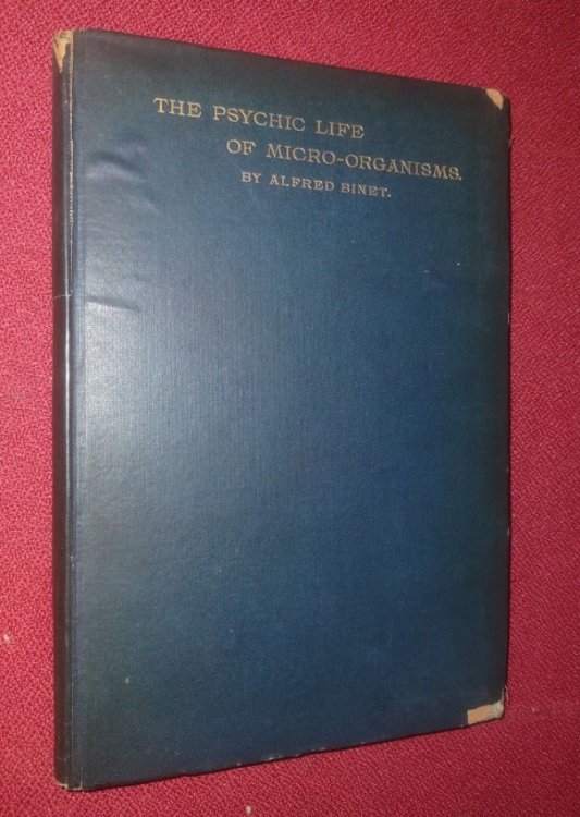 Image for The Psychic Life of Micro-Organisms -- A Study in Experimental Psychology; With a Preface by the Author written especially for the American Edition The Psychic Life of Micro-Organisms -- A Study in Experimental Psychology; With a Preface by the Author written especially for the American Edition