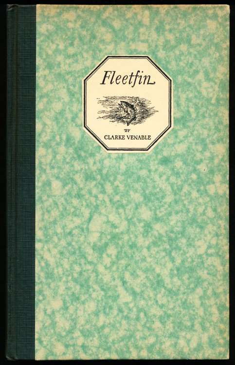 FLEETFIN: