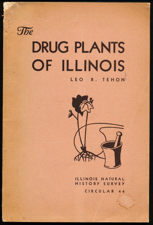 Image for THE DRUG PLANTS OF ILLINOIS. Circular 44 THE DRUG PLANTS OF ILLINOIS. Circular 44