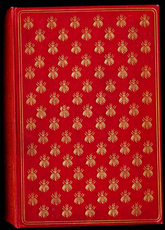Image for WITH NAPOLEON AT ST HELENA: Being the Memoirs of Dr. John Stokoe, Naval Surgeon. WITH NAPOLEON AT ST HELENA: Being the Memoirs of Dr. John Stokoe, Naval Surgeon.