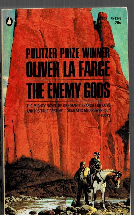 The Enemy Gods
