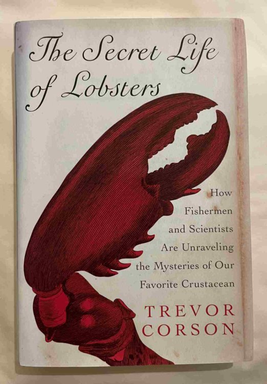 The Secret Life of Lobsters