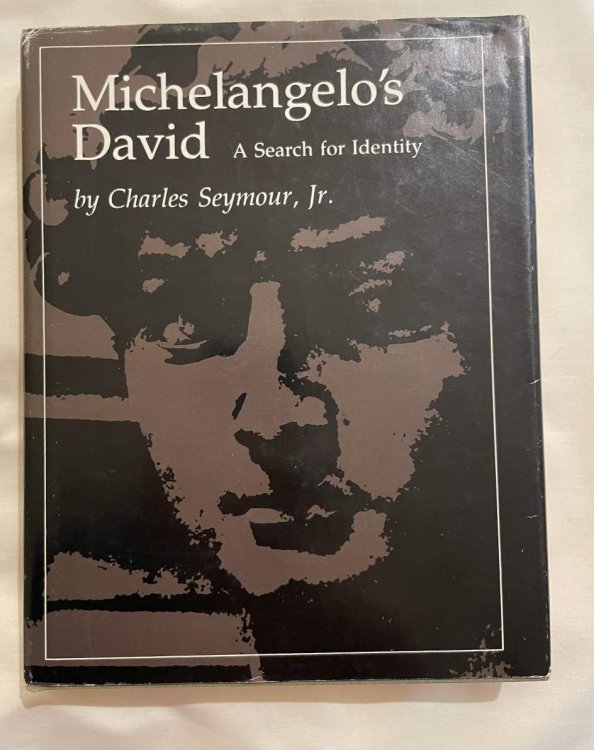 Michelangelo's David: A Search for Identity