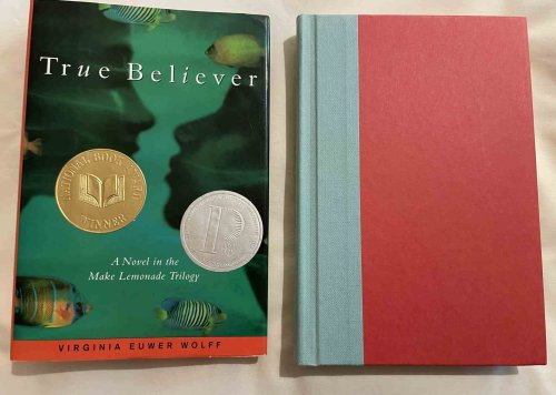 True Believer: A Novel in the Make Lemonade Trilogy