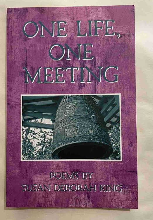One Life, One Meeting: Poems Read in the Literary Witnesses Series